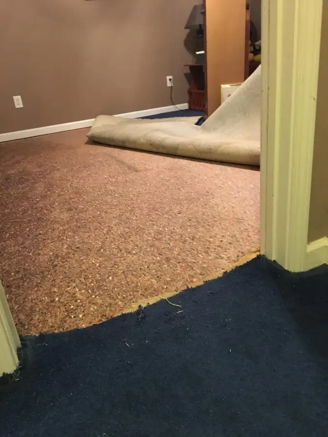 Carpet pad removal revealing water damage during Drying & Dehumidification in Bushkill