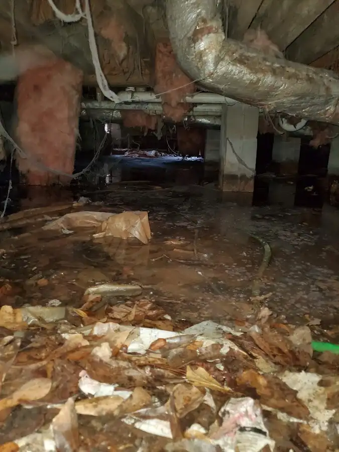 Crawl space flood assessment for Leak Detection & Repair in Bushkill