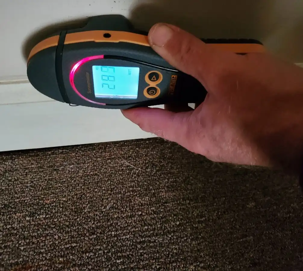 Moisture detection at baseboard during Mold Inspection & Testing in Bushkill